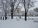lodineve (176)